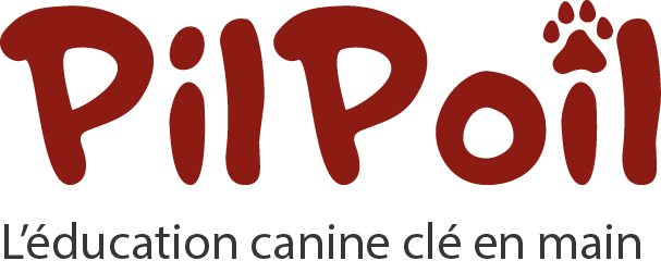 logo PilPoil